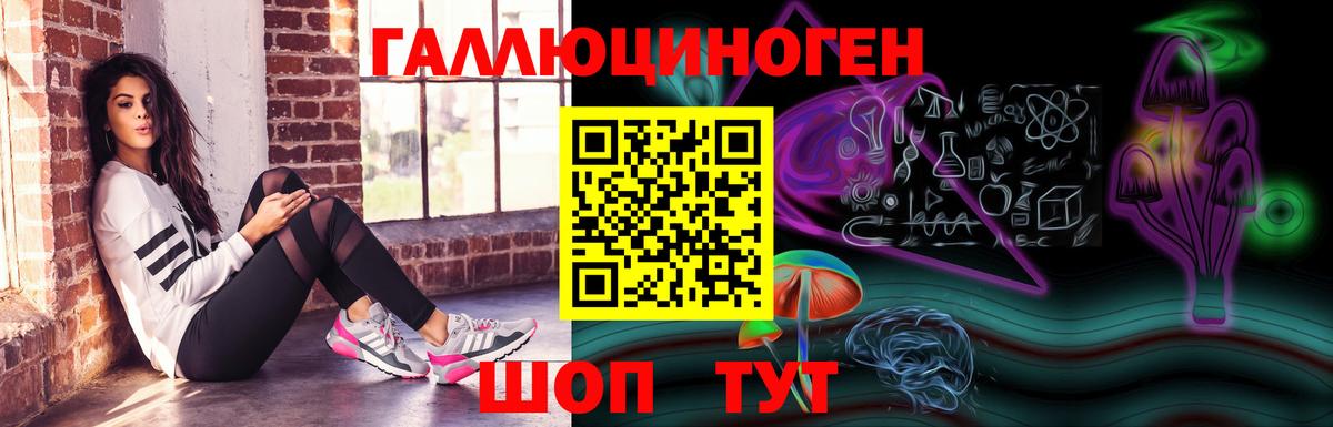 Норильск  Галлюциногенные грибы Psilocybine cubensis  Вход с VPN 